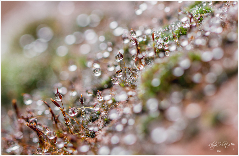 Один дождливый день