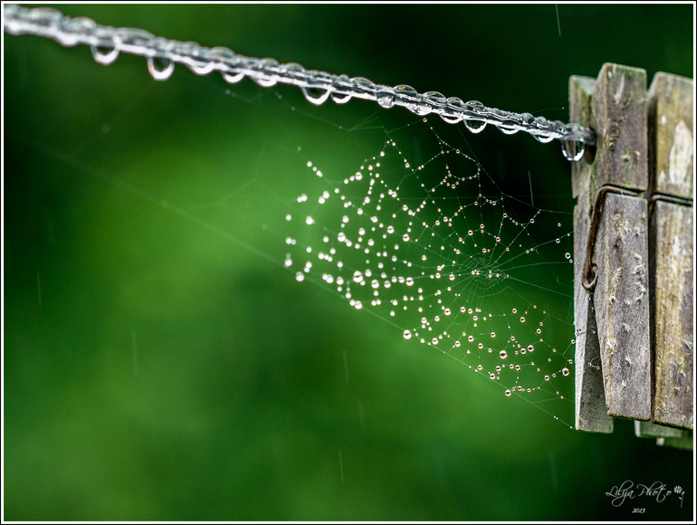 Один дождливый день