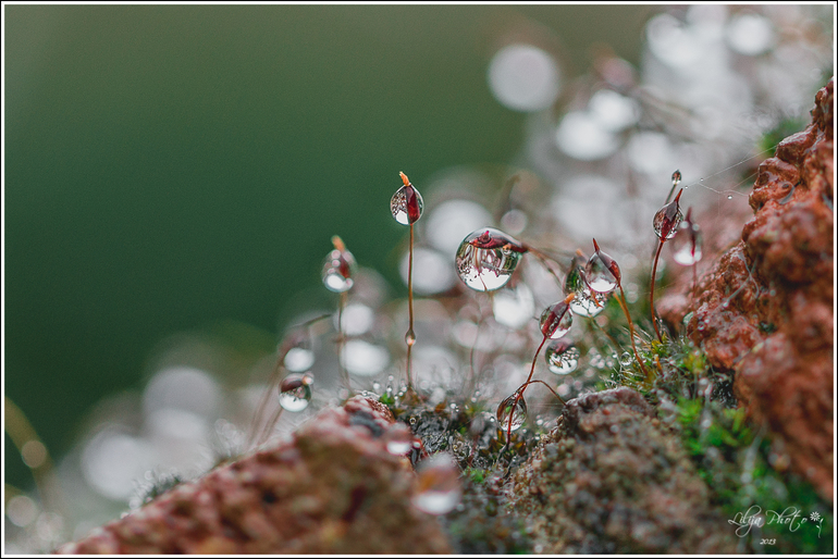 Один дождливый день