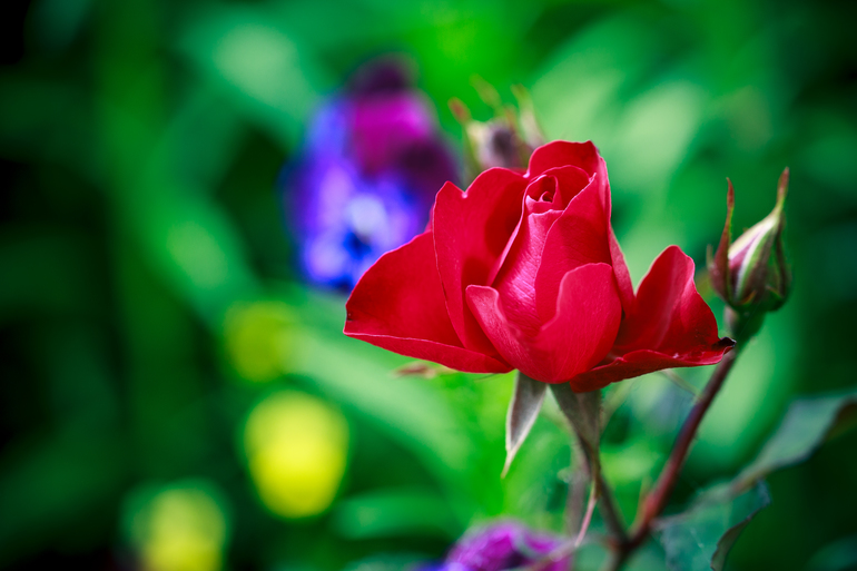 a0d2e9ef738e92cf8ffeba16234d12a9.jpg