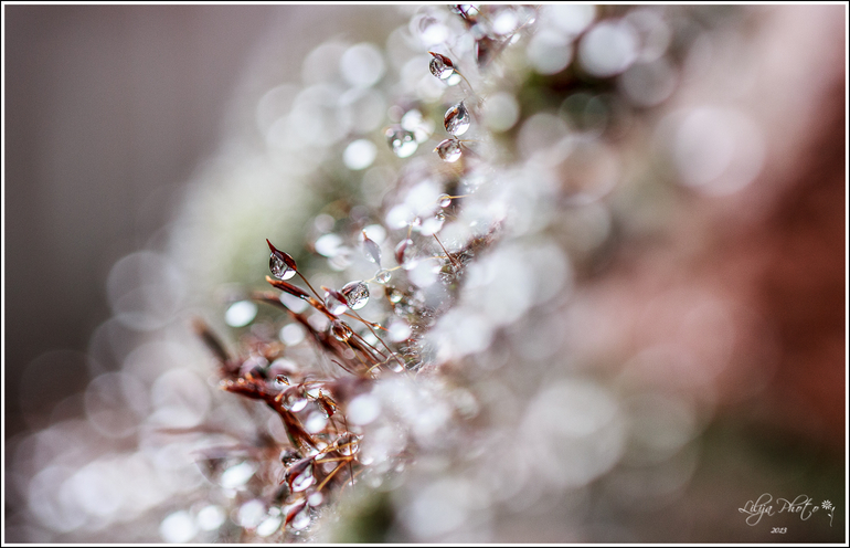 Один дождливый день