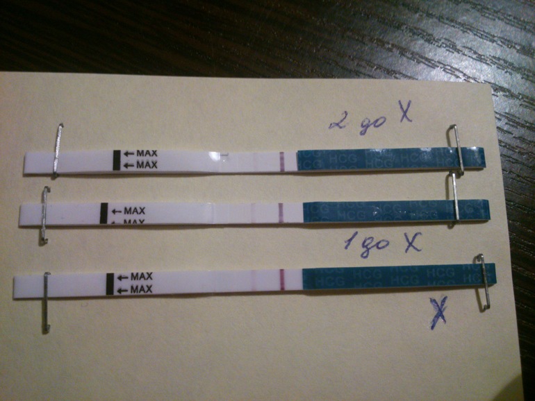 День Х. Они ярчают?