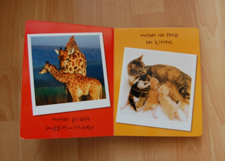 Ино-Странная библиотека (1 г 10 мес)