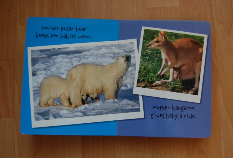 Ино-Странная библиотека (1 г 10 мес)