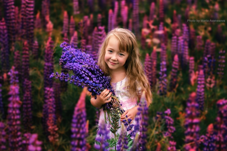 *Июнь в цвете*