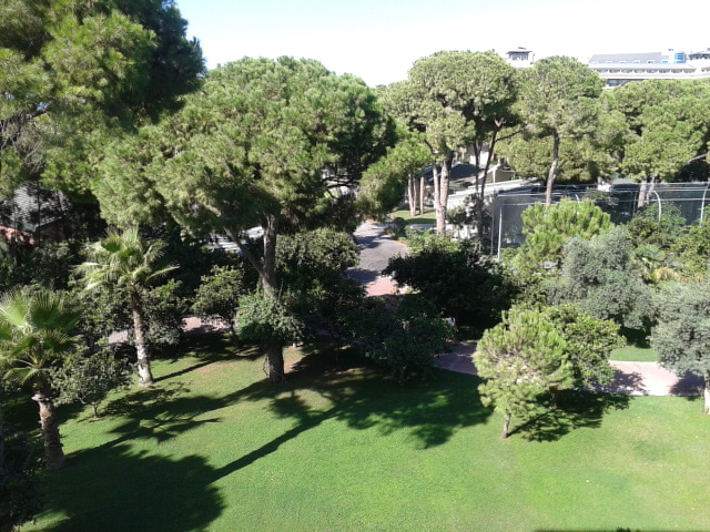 maritim pine beach и aspendos hospital в Белеке.