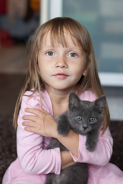 Как у нас остался кот