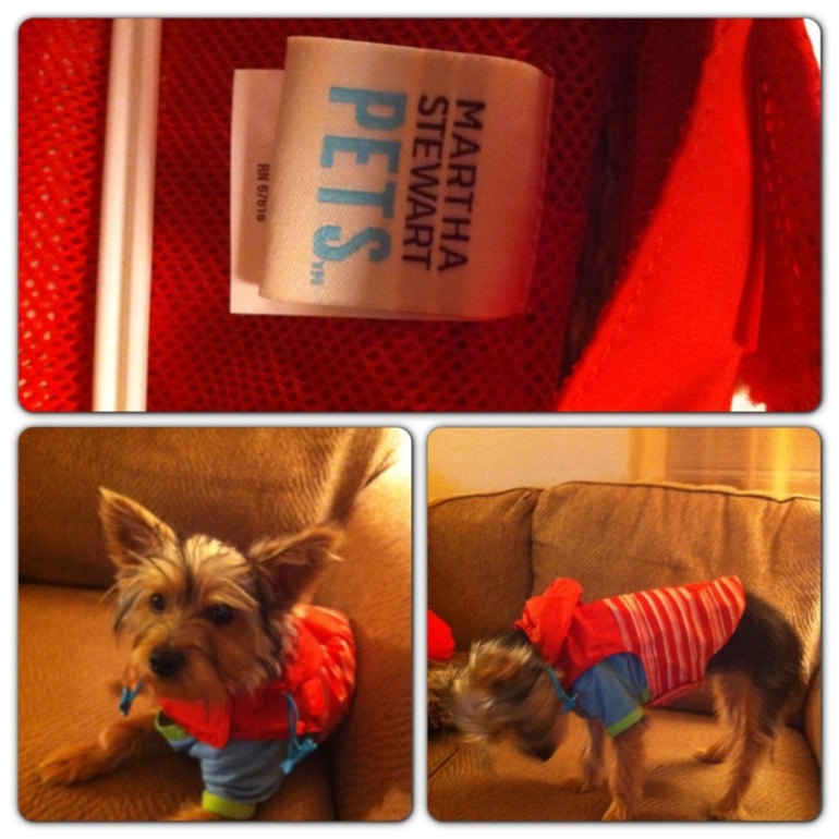 Обновки для собачки