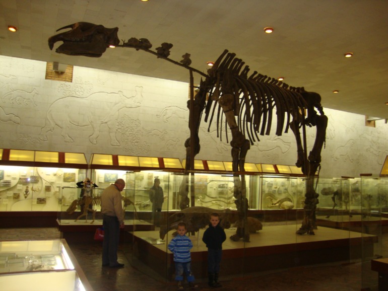 Палеонтологический музей