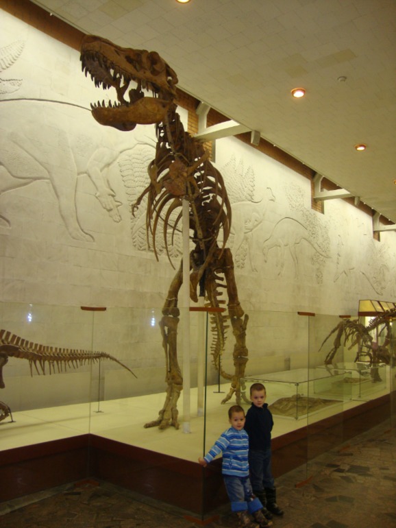 Палеонтологический музей