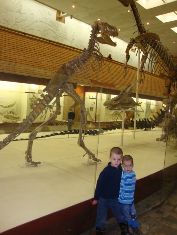 Палеонтологический музей