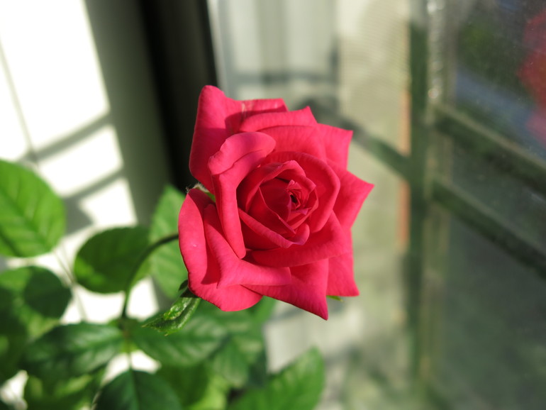 Подскажите ???