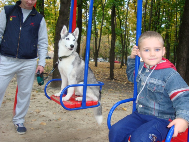 Наша хаскодевочка (2)