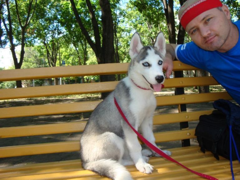 Наша хаскодевочка.