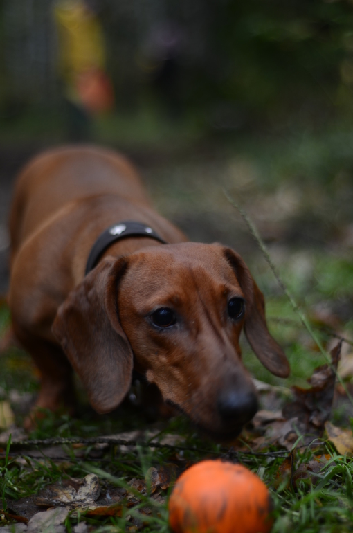 Осенние фото