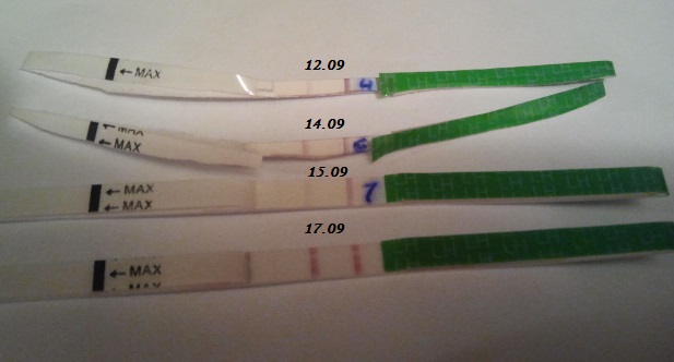 Запуталась!!!