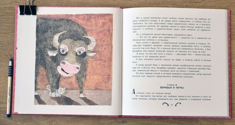 О Шамайке (с небольшим не лирическим отступлением)