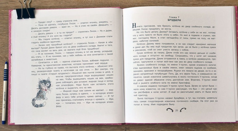 О Шамайке (с небольшим не лирическим отступлением)