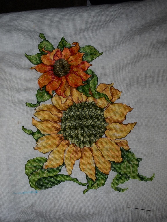 de0f5328102191f13488d45773146b6a.jpg