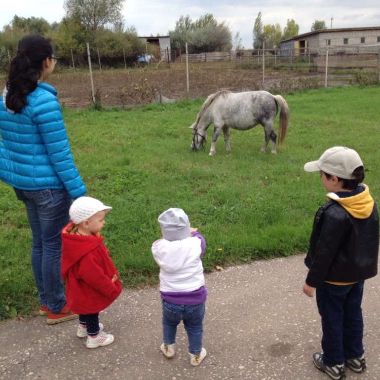 делюсь идеей увлекательного выходного