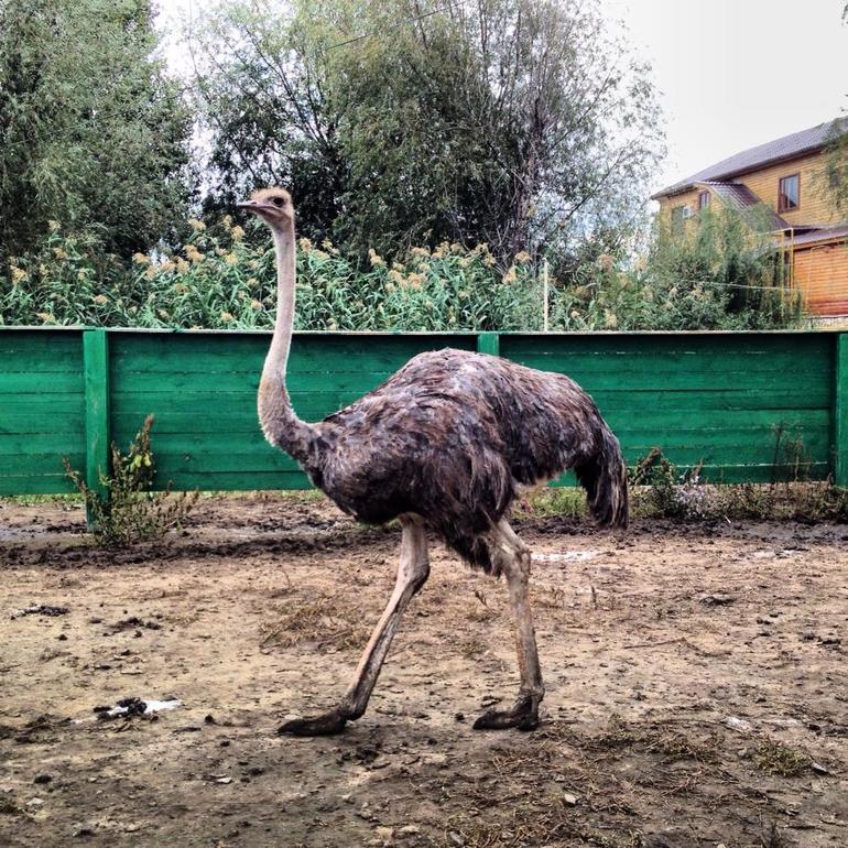 делюсь идеей увлекательного выходного
