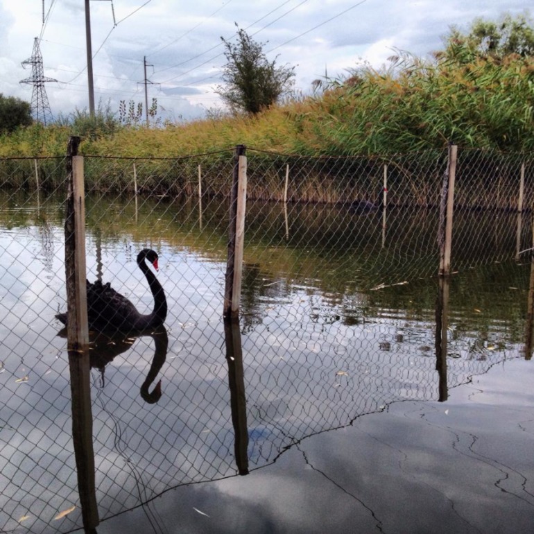 делюсь идеей увлекательного выходного