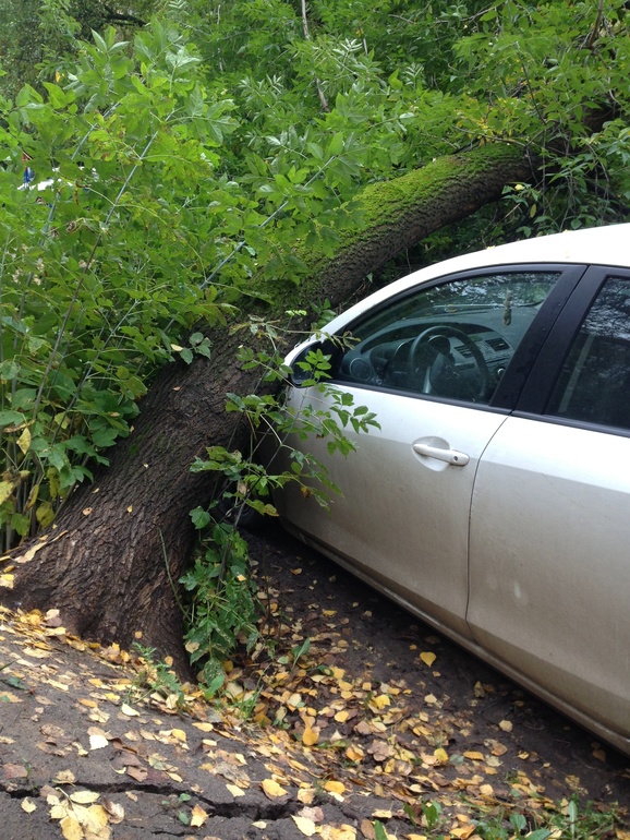 Дерево упало на машину...