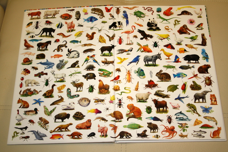 Новые книги. Часть 2