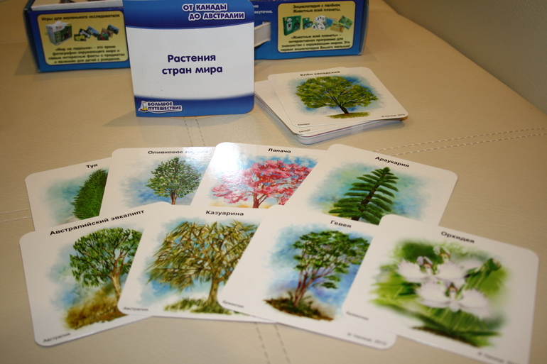 Начинаем "Большое путешествие"