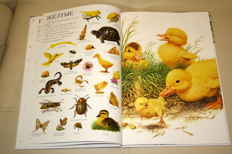 Новые книги. Часть 2