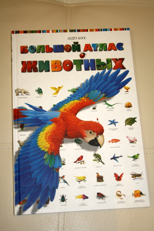 Новые книги. Часть 2