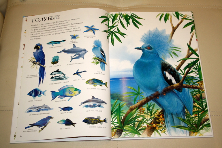 Новые книги. Часть 2