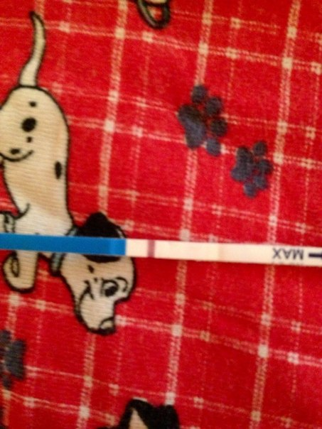 едет крыша не спеша)))