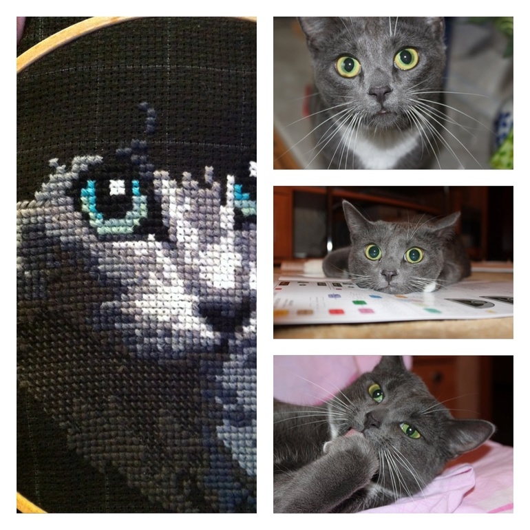 Эти глаза напротив...