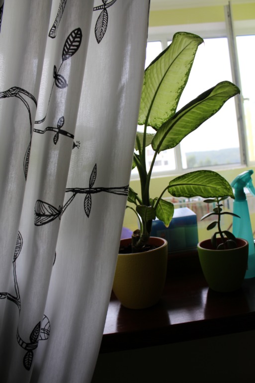 Вот и у меня дошли руки показать вам свою кухню!!!