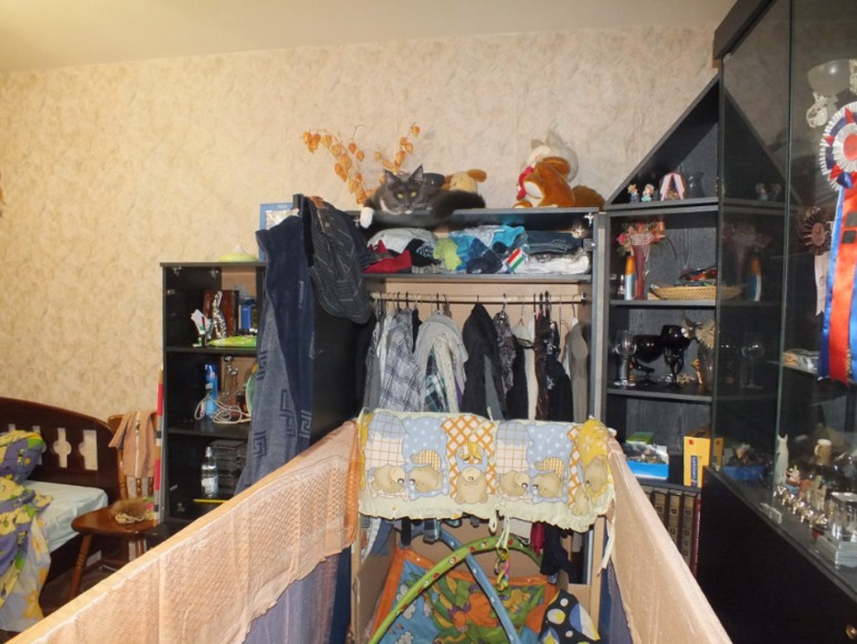 Котята мейн кун, помет "К", построили новый домик!!!