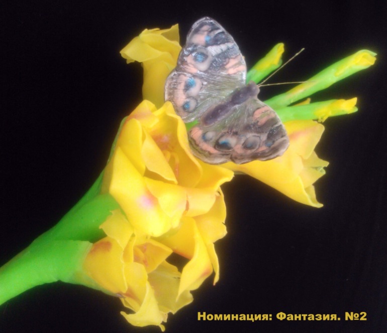 Номинация Творческая фантазия