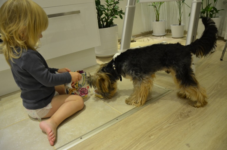 Бобби годик!