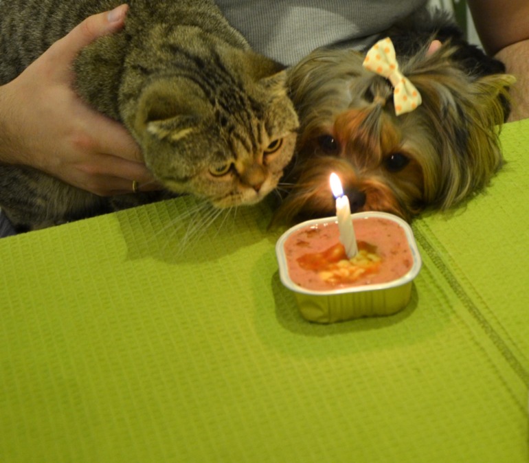 Бобби годик!