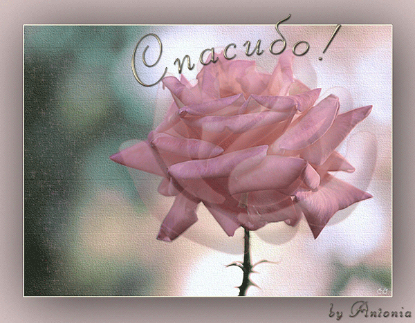 Спасибо, И))