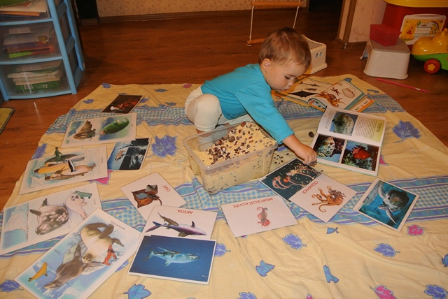 Игры, Пост №13, 1г.11м.