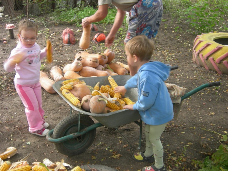 На деревню к дедушке!!!))