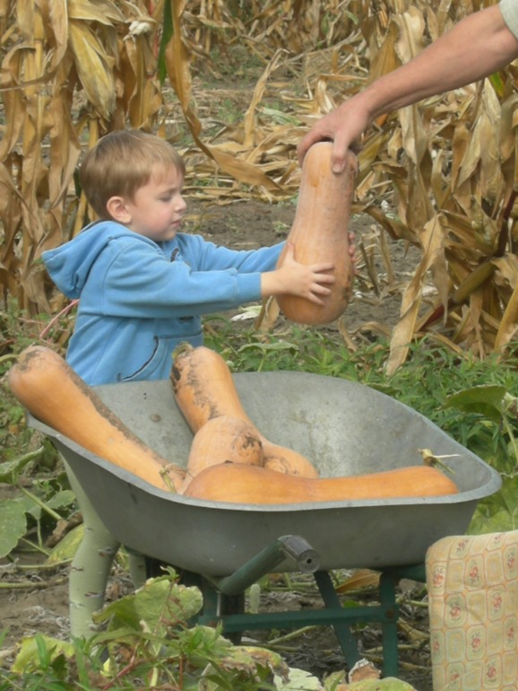 На деревню к дедушке!!!))