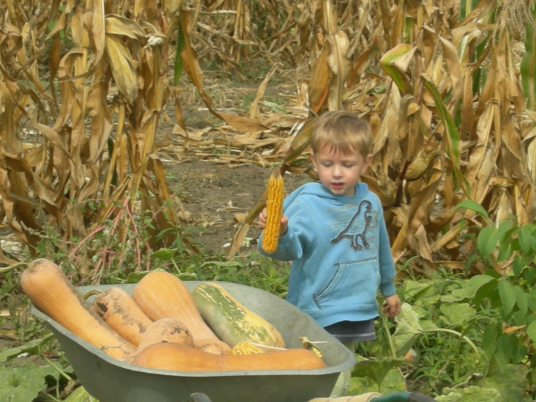 На деревню к дедушке!!!))