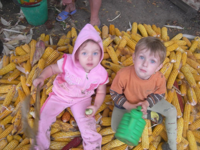 На деревню к дедушке!!!))
