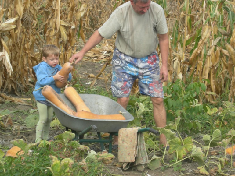 На деревню к дедушке!!!))