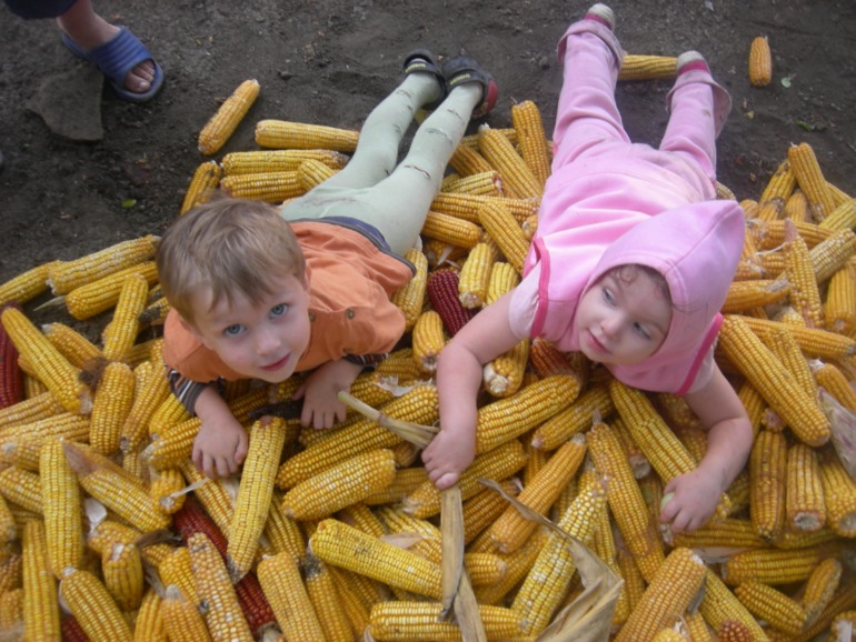 На деревню к дедушке!!!))