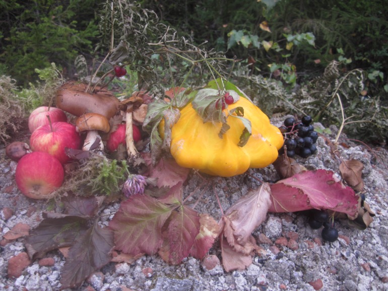 Наши выходны на природе