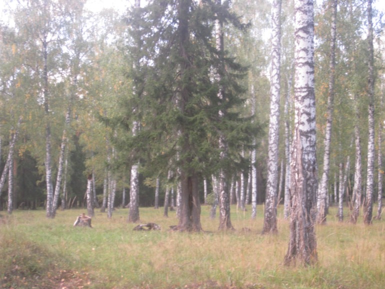 Наши выходны на природе