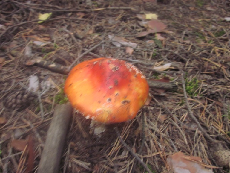 Наши выходны на природе